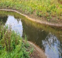 Charvil Backwater - September 2021